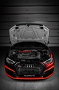 Eventuri - Audi RS3 Gen 2 / TTRS 8S intake for DAZA and DWNA Engines
