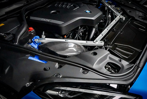 BMW G29 Z4 2.0 B48 Carbon Intake