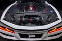 C8 Z06 Coupe Carbon Intake