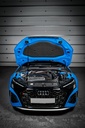 Eventuri - Audi RS3 8Y 2020+ Carbon Intake