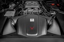 Mercedes C190/R190 AMG GTR, GTS, GT GLOSS Finish