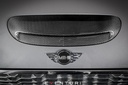 Mini Cooper S / JCW Plastic intake with Carbon Scoop