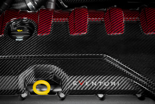 Eventuri - Audi RS3 Gen 2 / TTRS 8S Black and Red Engine Cover
