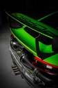 Porsche 991.1 991.2 GT3RS Carbon Intake