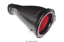 MK4 Leon Cupra Formentor 2.0 VZ1 245hp 2020+ Carbon intake
