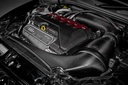 Eventuri - Audi RS3 Gen 2 / TTRS 8S Black and Red Engine Cover