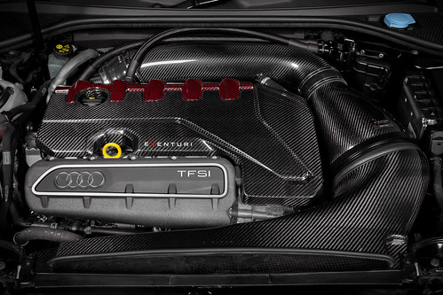 Eventuri - Audi RS3 Gen 2 / TTRS 8S Black and Red Engine Cover