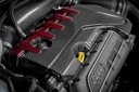 Eventuri - Audi RS3 Gen 2 / TTRS 8S Black and Red Engine Cover