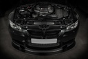 BMW E9X M3 Carbon Inlet Plenum Gloss