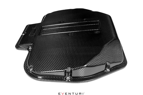 BMW S62 V8 Carbon Plenum Lid for E39 M5 and Z8