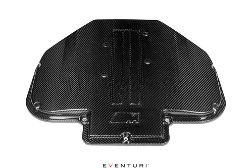 BMW S62 V8 Carbon Plenum Lid for E39 M5 and Z8
