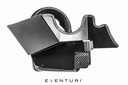 V2 BMW F87 M2, F2X M135i, M235i, F3X 335i, 435i Carbon intake