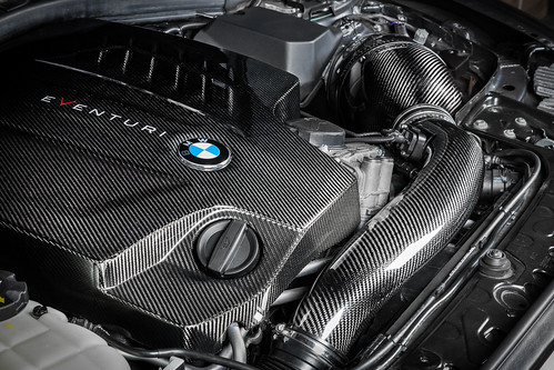 V2 BMW F87 M2, F2X M135i, M235i, F3X 335i, 435i Carbon intake
