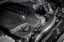 V2 BMW F87 M2, F2X M135i, M235i, F3X 335i, 435i Carbon intake