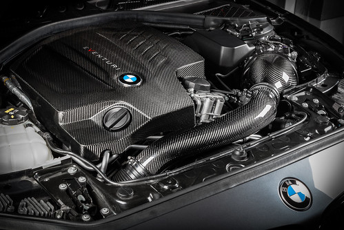 V2 BMW F87 M2, F2X M135i, M235i, F3X 335i, 435i Carbon intake