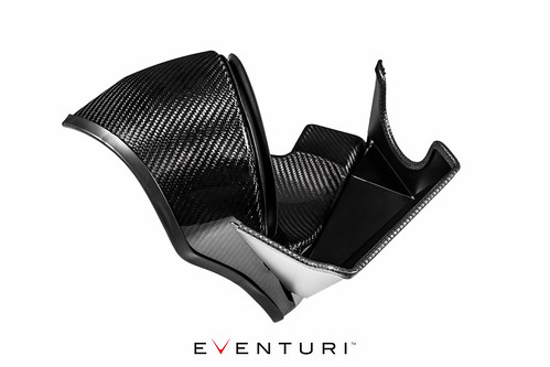 V2 BMW F87 M2, F2X M135i, M235i, F3X 335i, 435i Carbon intake