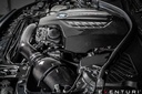 V2 BMW F87 M2, F2X M135i, M235i, F3X 335i, 435i Carbon intake