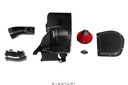 FL5 Civic Type R Carbon Intake
